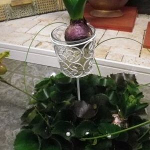 画像の名前を入力