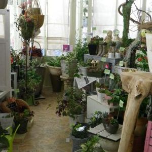 画像の名前を入力