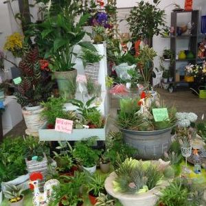 画像の名前を入力