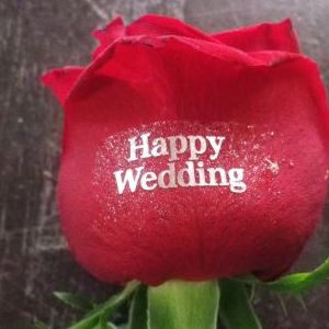 画像の名前を入力