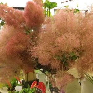 画像の名前を入力