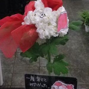 画像の名前を入力