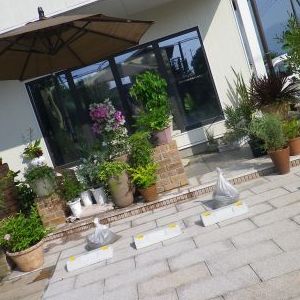 画像の名前を入力