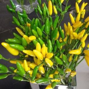 画像の名前を入力