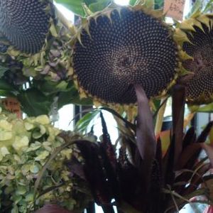 画像の名前を入力