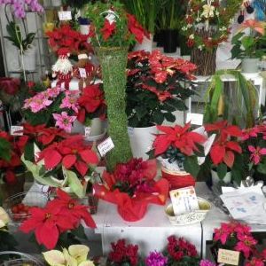 画像の名前を入力