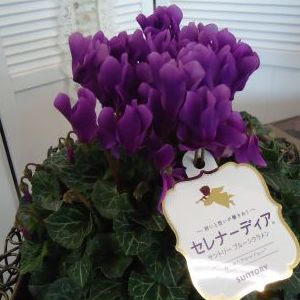 画像の名前を入力