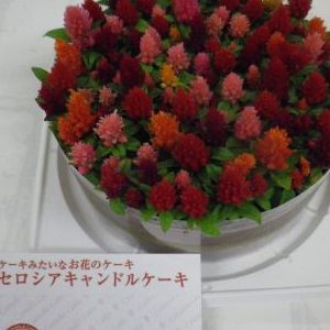 画像の名前を入力