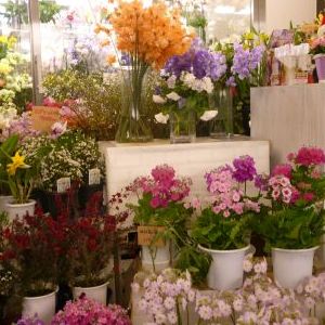 画像の名前を入力