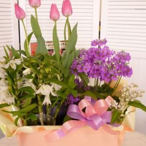 画像の名前を入力