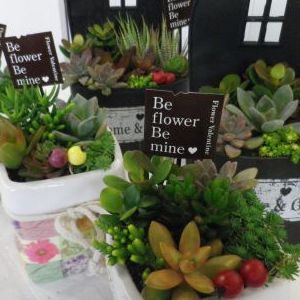 画像の名前を入力