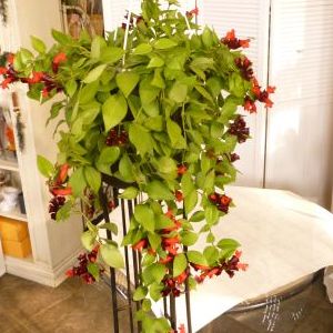 画像の名前を入力