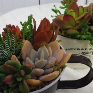 画像の名前を入力