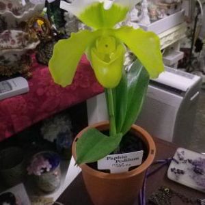 画像の名前を入力