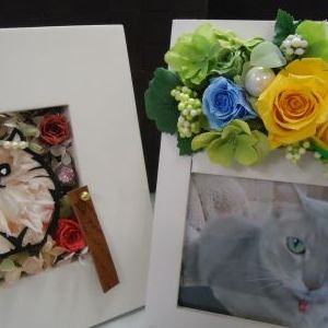 画像の名前を入力