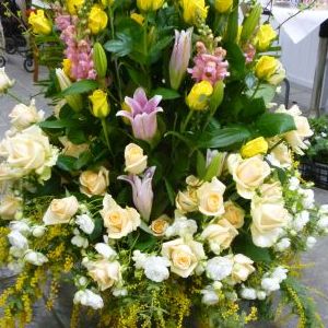 画像の名前を入力