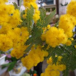 画像の名前を入力