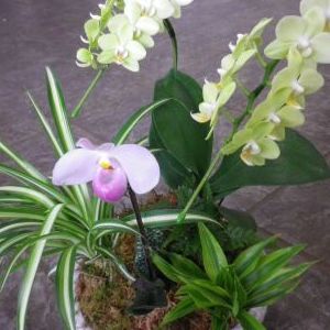 画像の名前を入力