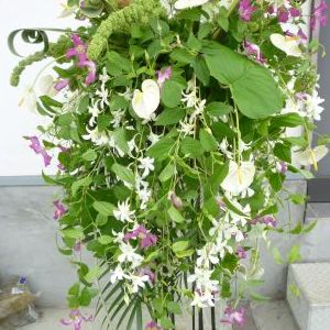 画像の名前を入力