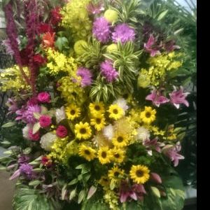 画像の名前を入力