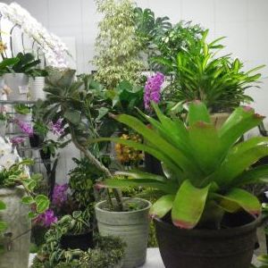 画像の名前を入力