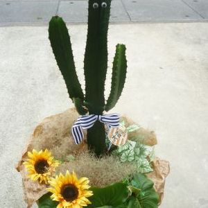 画像の名前を入力