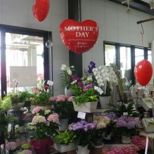 画像の名前を入力