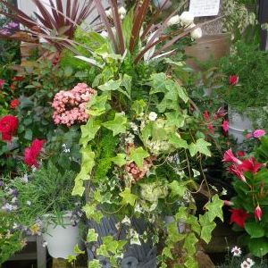 画像の名前を入力