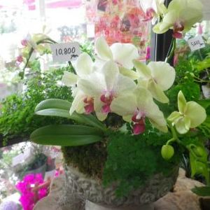 画像の名前を入力