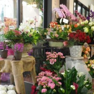 画像の名前を入力