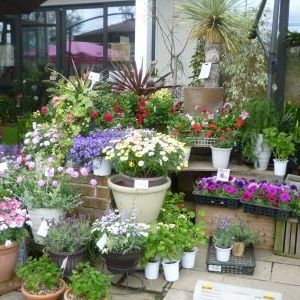 画像の名前を入力