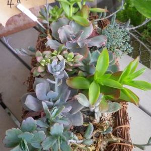 画像の名前を入力