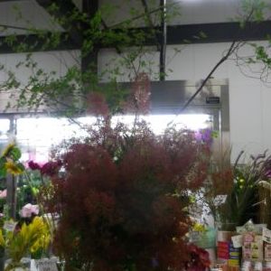 画像の名前を入力