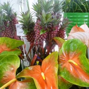 画像の名前を入力