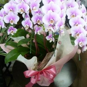 画像の名前を入力