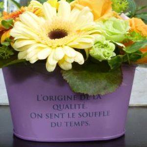 画像の名前を入力