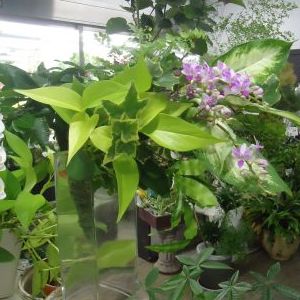 画像の名前を入力