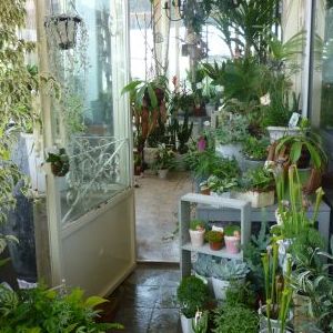 画像の名前を入力