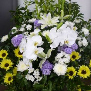 画像の名前を入力