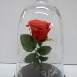 画像の名前を入力