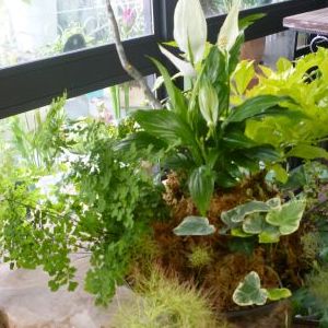 画像の名前を入力