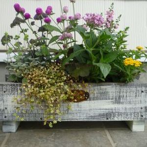 画像の名前を入力