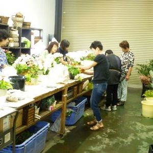 画像の名前を入力