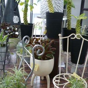 画像の名前を入力