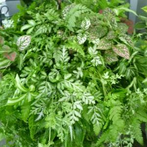 画像の名前を入力