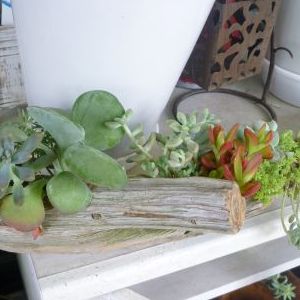 画像の名前を入力