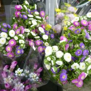 画像の名前を入力