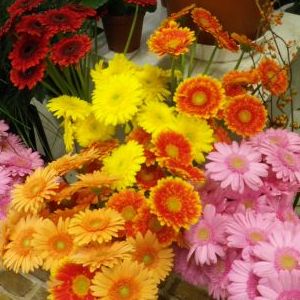 画像の名前を入力