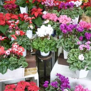 画像の名前を入力