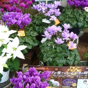 画像の名前を入力